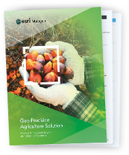 Geo-precision agriculture solution case study